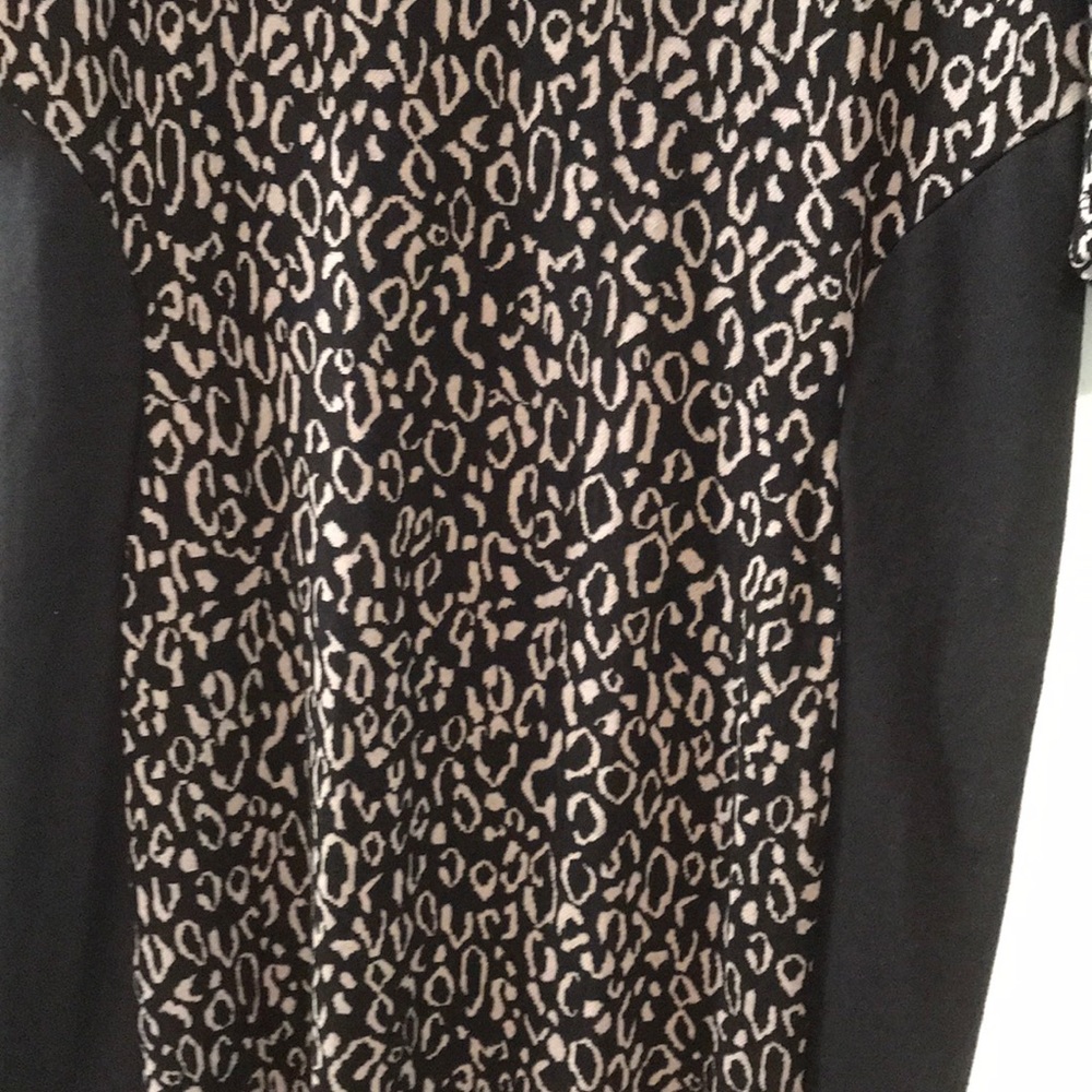 Black leopard dress in size 10 - Picture 3 of 6